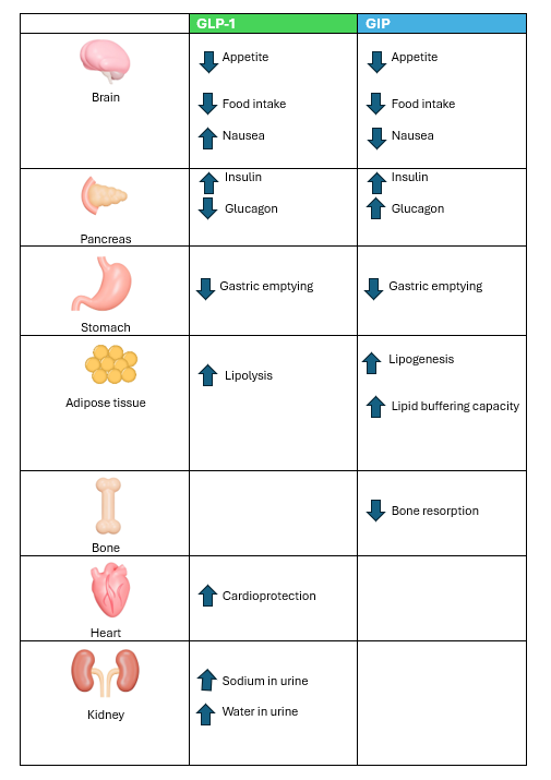 Comparison of GLP-1 and GIP medicalmojo.co.uk