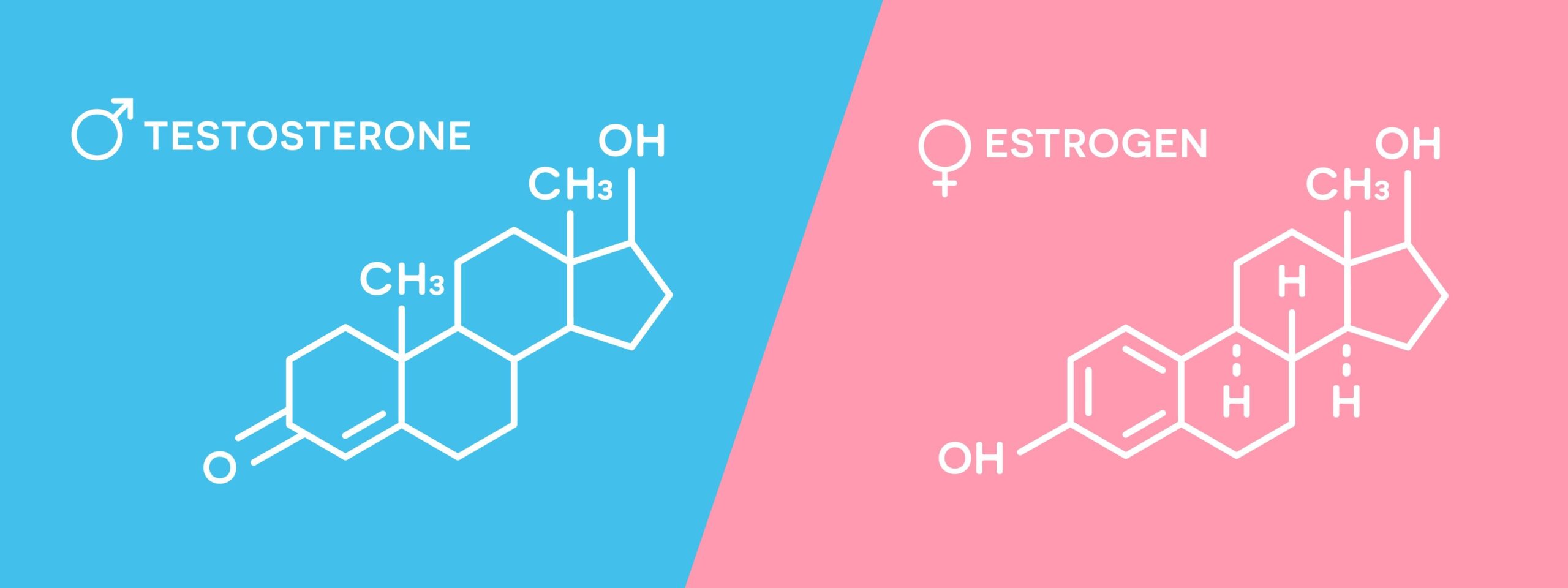 What is acne testosterone and oestrogen medicalmojo.co.uk